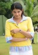 Fazil