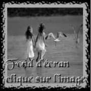 chezsuede.com Fdoo