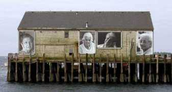 iamprovincetown.com Feced