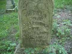 freepages.history.rootsweb.ancestry.com Fedelia