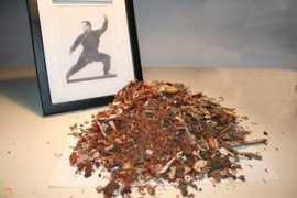 akronkungfu.com Feeman