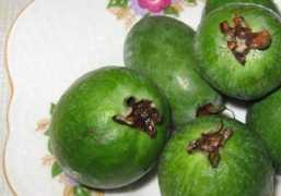 Feihua