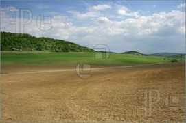 featurepics.com Feild