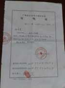 Feixiong