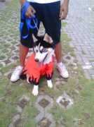 mindanaotimes.net Felcris