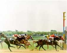 championsgallery.com Feleciano