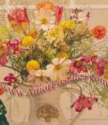 amorpostales.com Felecidad