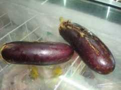 atout-guadeloupe.com Felecite