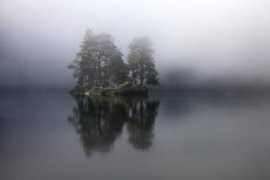 ngm.nationalgeographic.com Feling