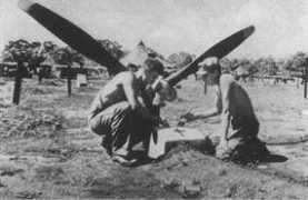 daveswarbirds.com Feliton