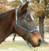 blazesequinerescue.com Felixt