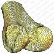 truegrid.com Femur