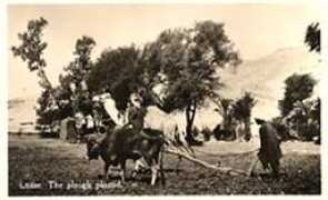 qurna.org Fendia