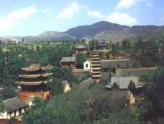 Fengxue