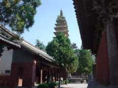 Fengxue