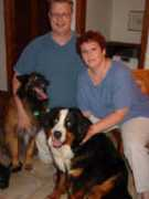 littlebearberners.com Fenick