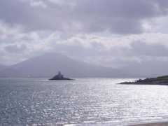 Fenit