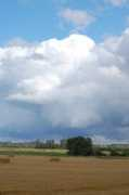 Fens