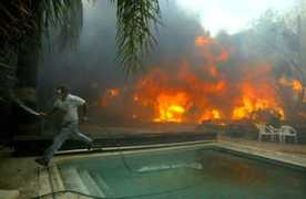 Ferazzi