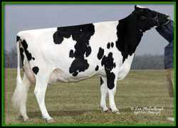 penngatefarm.com Ferggy