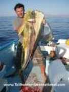 tailhunter-international.com Ferialdi