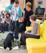 primorske.si Ferletic