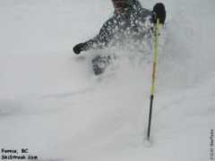 skistreak.com Fernie