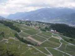 Ferrazo