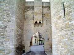 Ferrisa