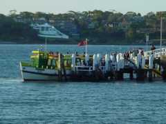 australie1.webz.cz Ferryna