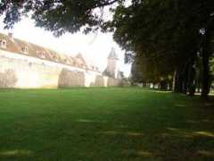 Ferte
