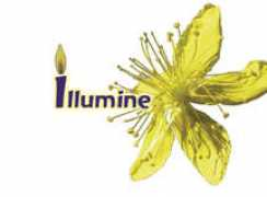 essencesonline.com Fesf