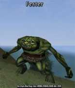 Fester