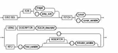 relief.incad.cz Fetcho