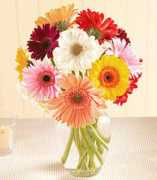 austin-florists.flowerpetal.com Ffgd