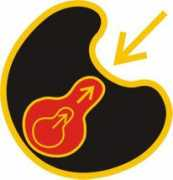 cultivatingexcellence.com Ffw