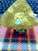 Fhon