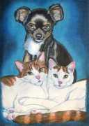 catskind.com Fibie
