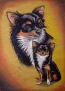 catskind.com Fibie