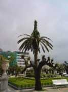 visoterra.com Ficele