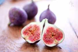 Fichi