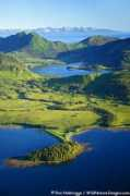 wildnatureimages.com Fidalgo
