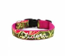 collars-4-dogs.com Fidora