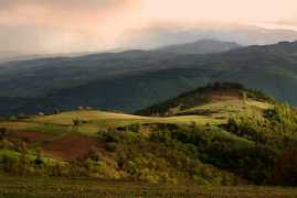 Filcev