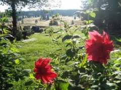 panoramio.com Filipova