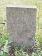 rootsweb.ancestry.com Finelia