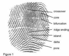 uh.edu Fingerprint