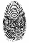 belgium.usembassy.gov Fingerprint