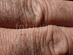 fotolibra.com Fingers