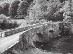 dartmoorperspectives.co.uk Fingle